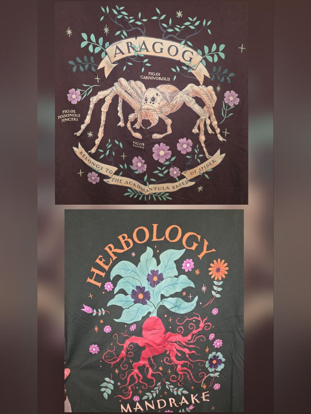 2 Harry Potter X Cakeworthy Mandrake & Aragog Graphic Tee